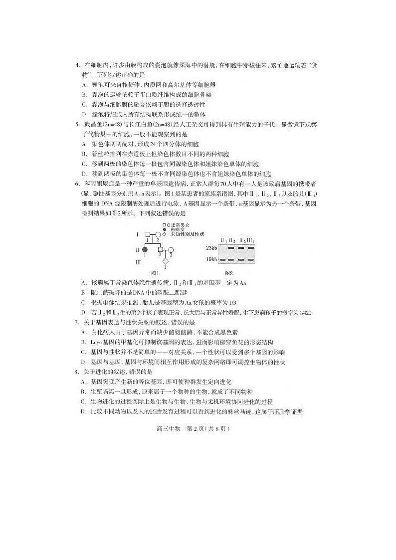 2024届河北省石家庄高三质量检测生物试题第2页
