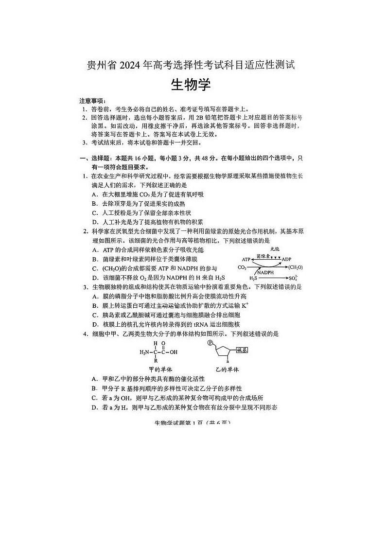 2024届贵州省高三下学期4月适应性考试生物试题01