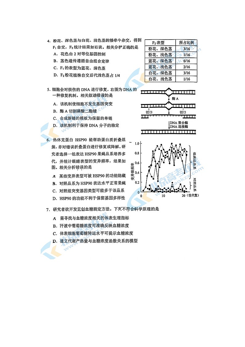 2024届北京西城区高三上学期生物期末试题02