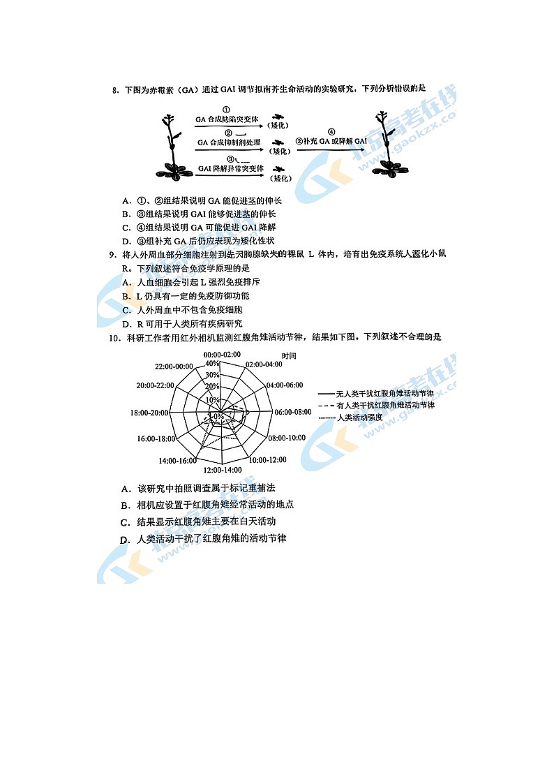 2024届北京西城区高三上学期生物期末试题03