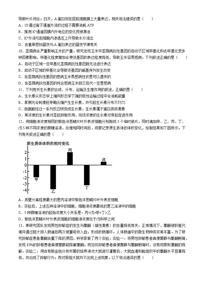 湖北省黄石二中等三校2024年高三一模考试生物试题03