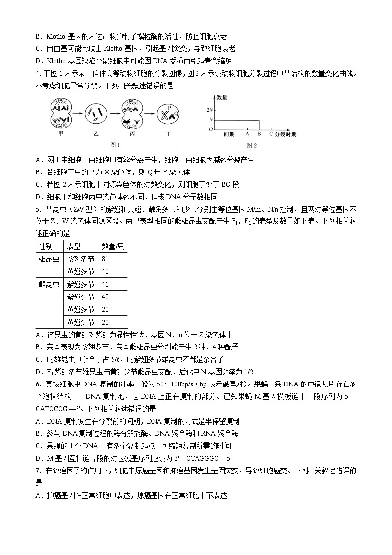 江西省重点中学盟校2024届高三第二次联考生物试题第2页