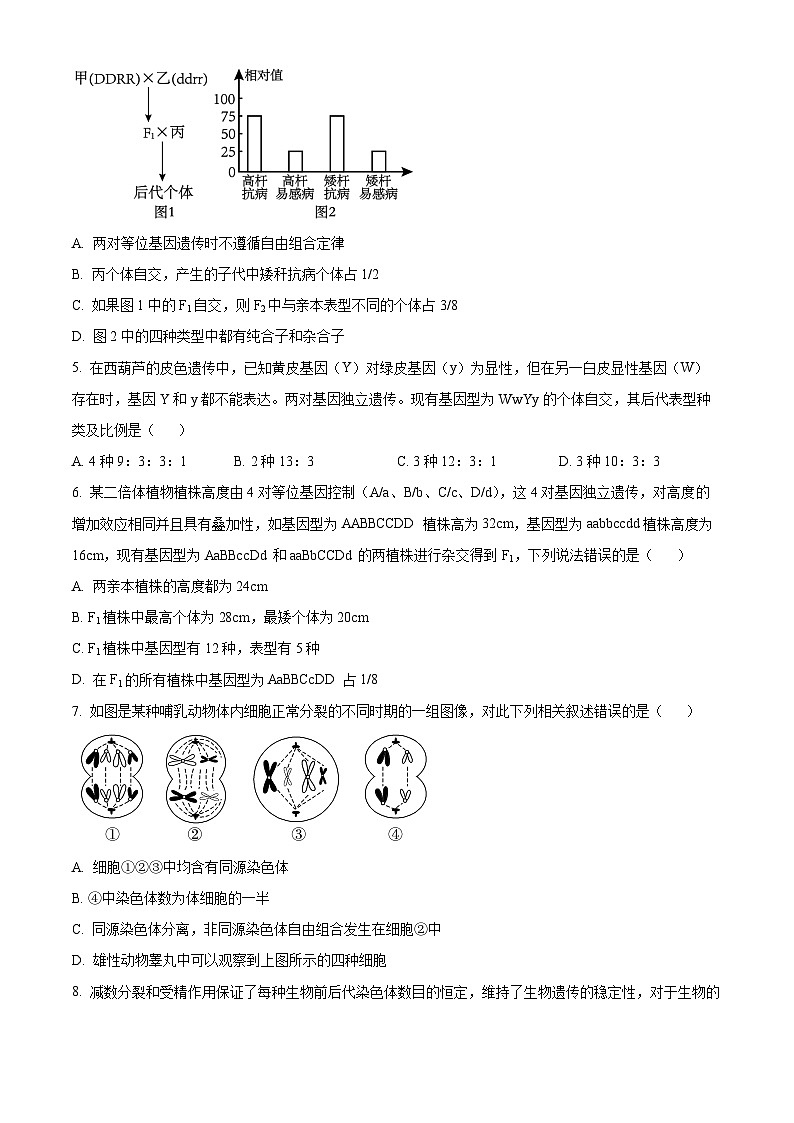 河北省保定市六校联考2023-2024学年高一下学期期中生物试题（原卷版）第2页