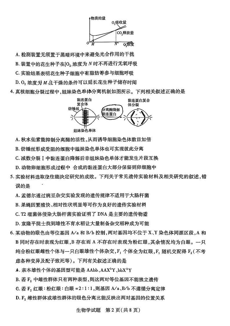安徽省卓越县中联盟2024年高三高考模拟联考生物试题02