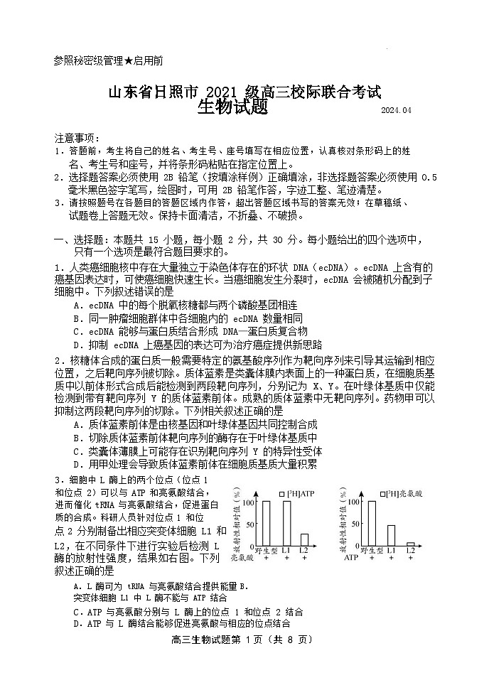 2024届山东省日照市高三二模生物试卷第1页