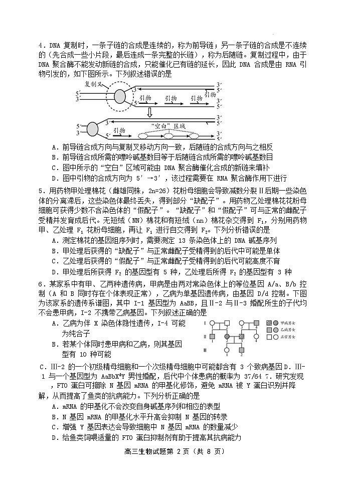 2024届山东省日照市高三二模生物试卷第2页