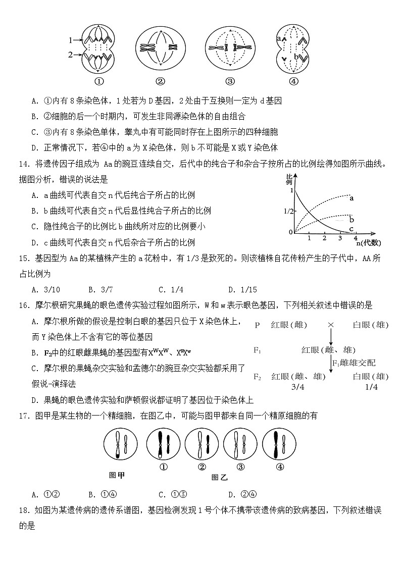 高一生物（4.18）第3页
