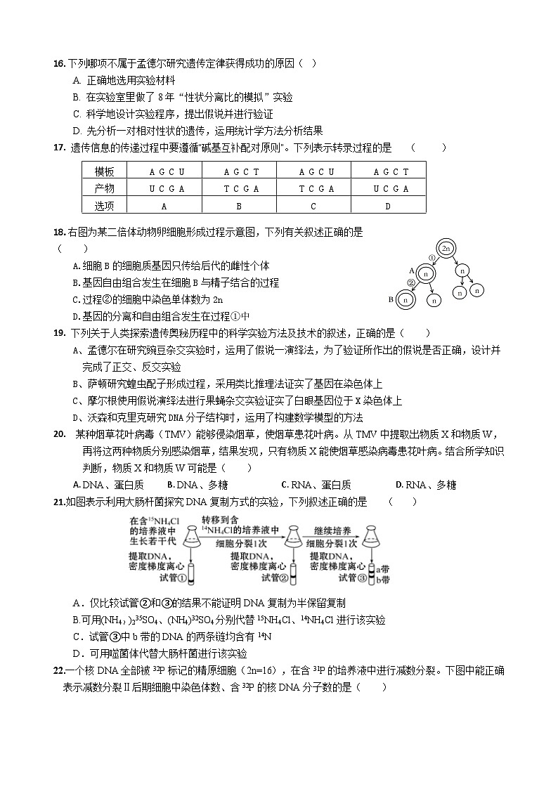 福建省四地五校联考2023-2024学年高一下学期4月期中考试生物试题第3页