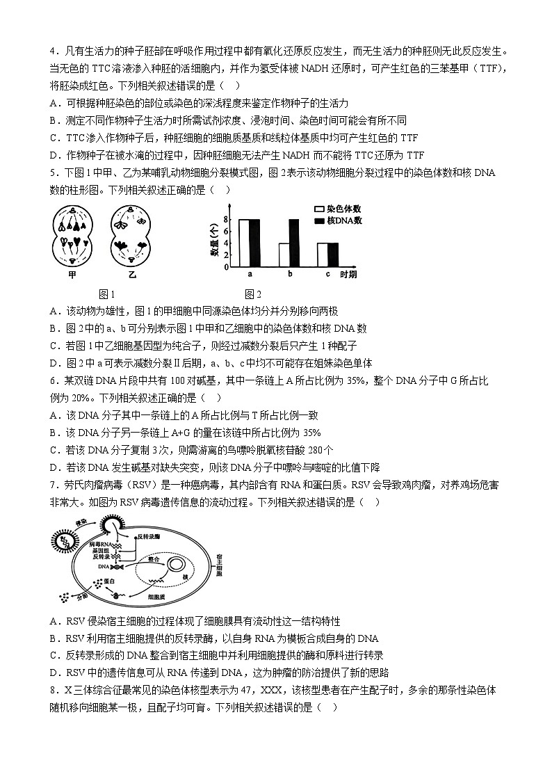 2024届河北省沧州市部分高中高三下学期二模生物试题02