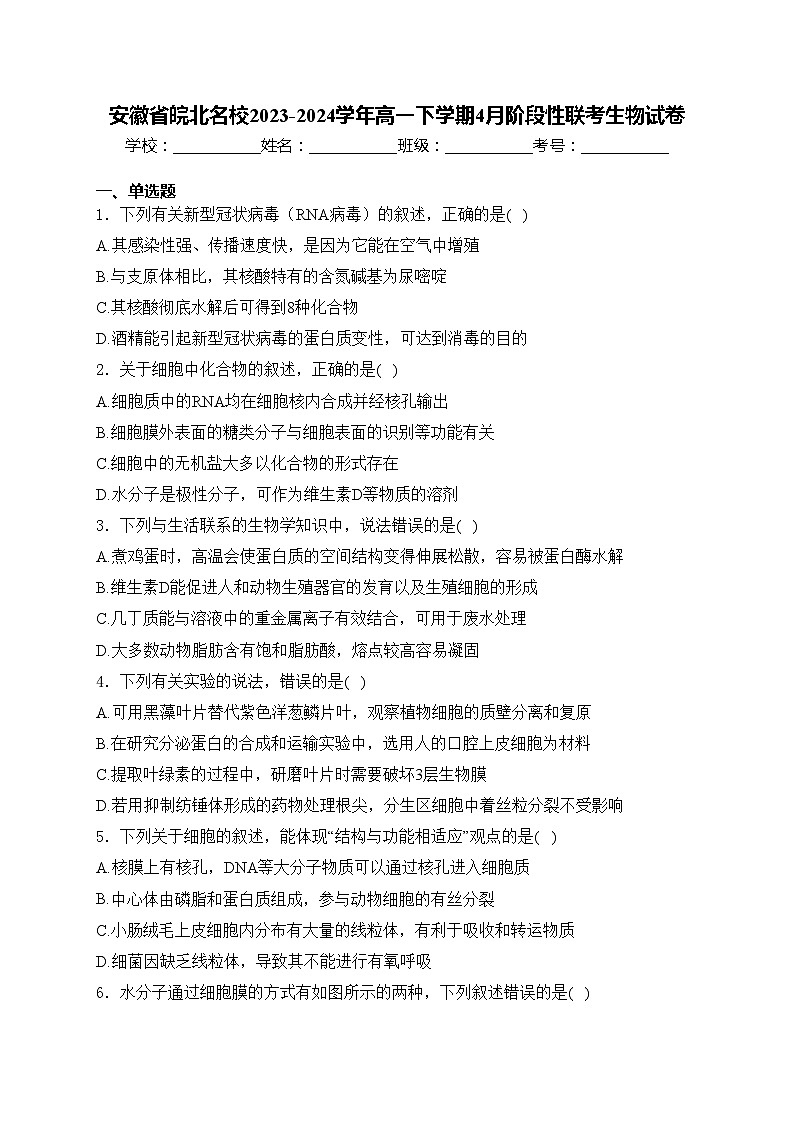 安徽省皖北名校2023-2024学年高一下学期4月阶段性联考生物试卷(含答案)第1页