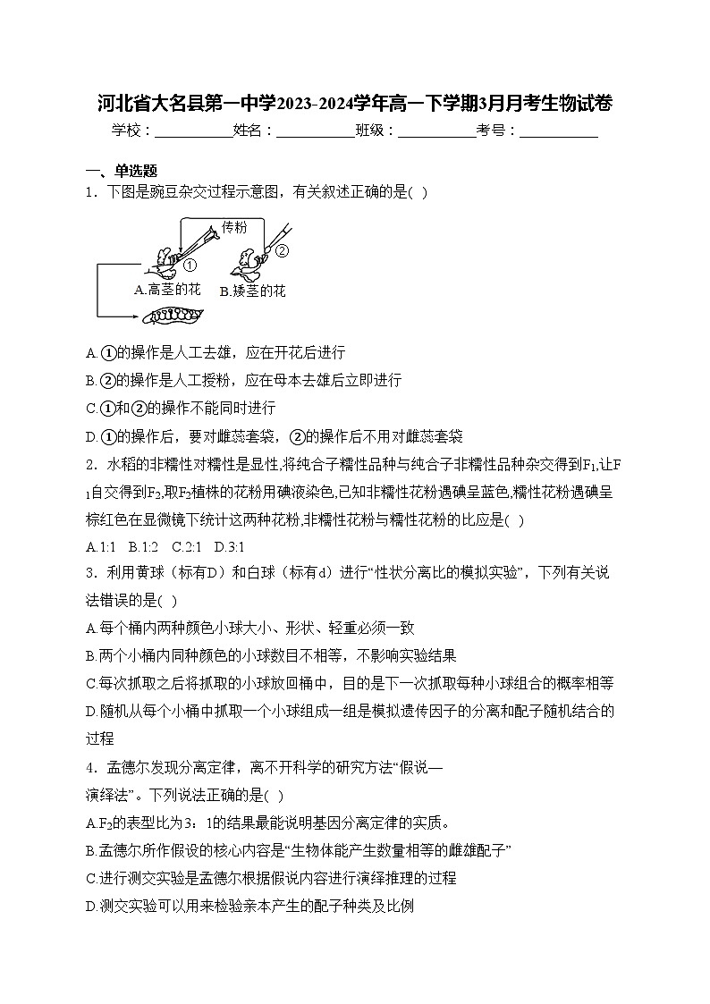 河北省大名县第一中学2023-2024学年高一下学期3月月考生物试卷(含答案)第1页