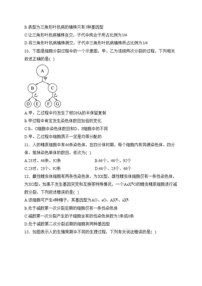 河北省大名县第一中学2023-2024学年高一下学期3月月考生物试卷(含答案)第3页