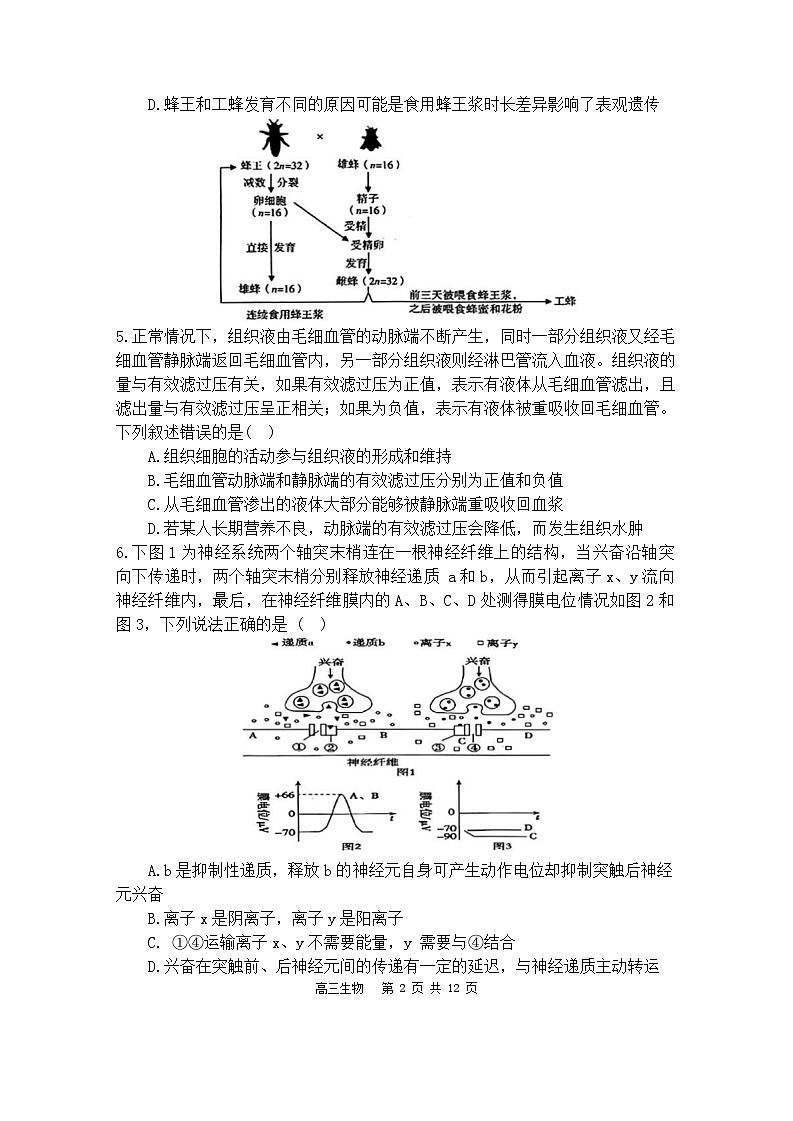 福建省福州市鼓楼区第三中学2023-2024学年高三下学期第十六次检测（三模）生物试题第2页