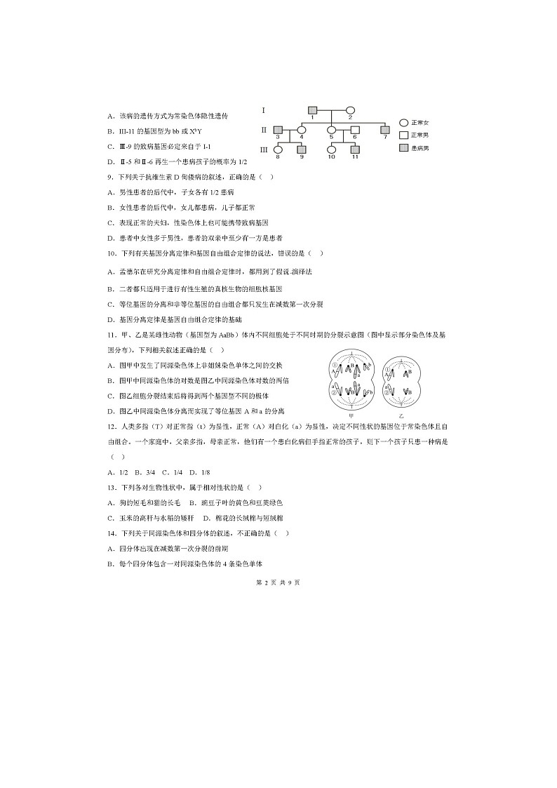 四川省德阳市外国语学校2023-2024学年高一下学期期中考试生物试题02