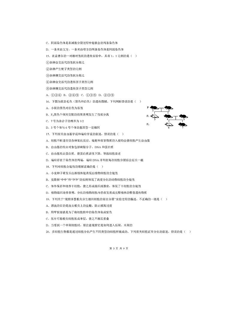 四川省德阳市外国语学校2023-2024学年高一下学期期中考试生物试题03