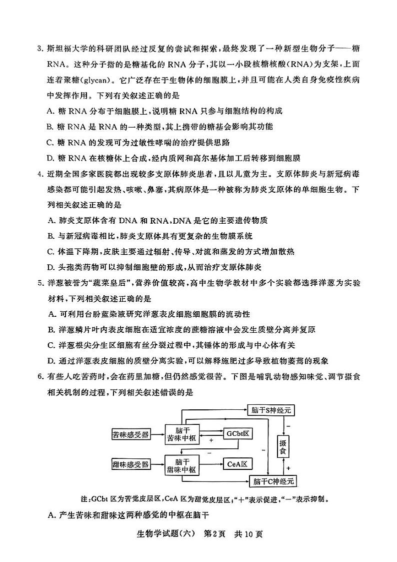 湖北省襄阳四中等学校2023—2024学年高三下学期三模考试生物试题02