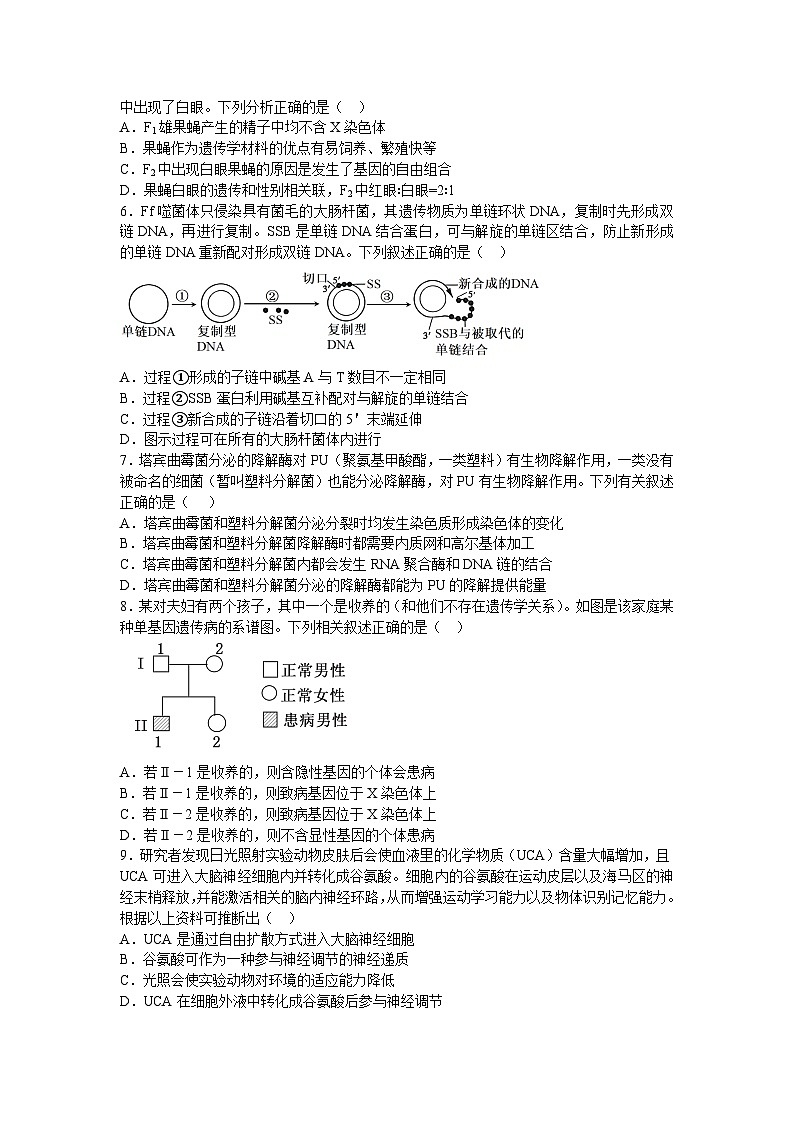 湖南省衡阳市衡阳县第一中学2023-2024学年高三下学期4月月考生物试题第2页