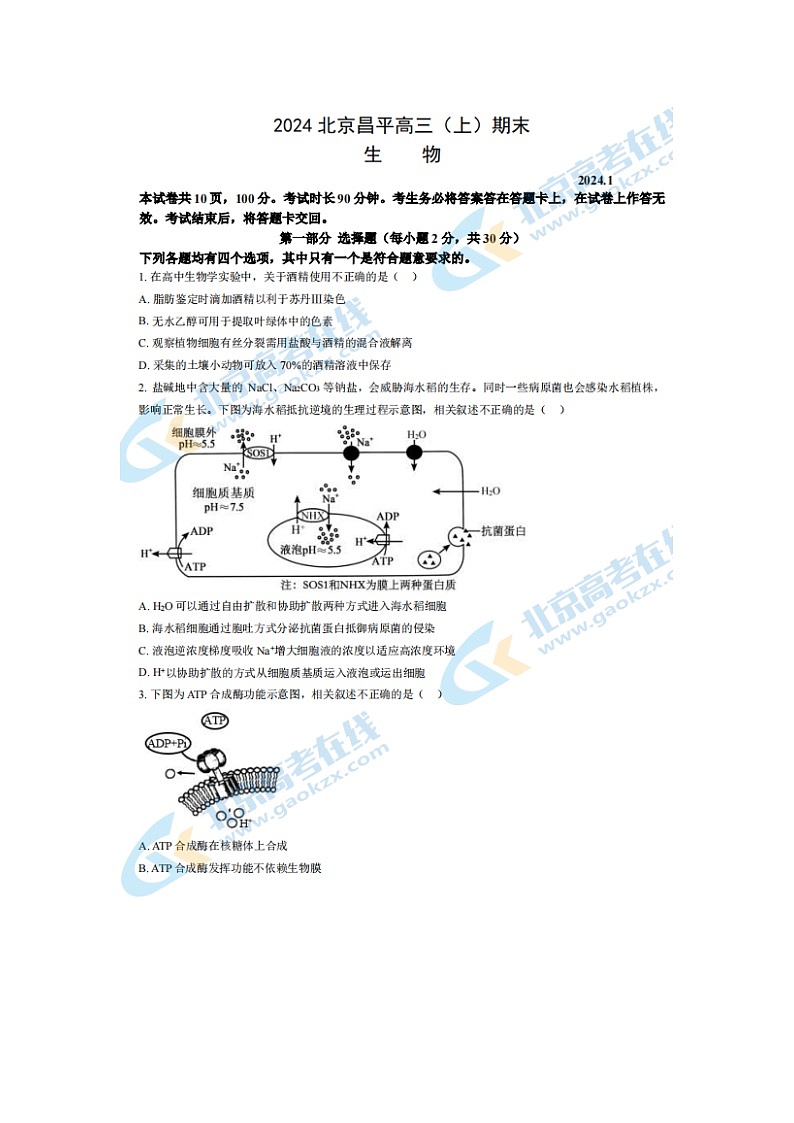 2024届北京昌平区高三上学期生物期末试题01