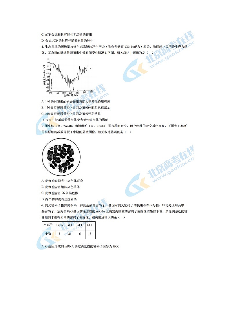 2024届北京昌平区高三上学期生物期末试题02