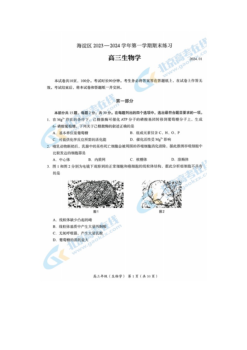 2024届北京海淀区高三上学期生物期末试题第1页