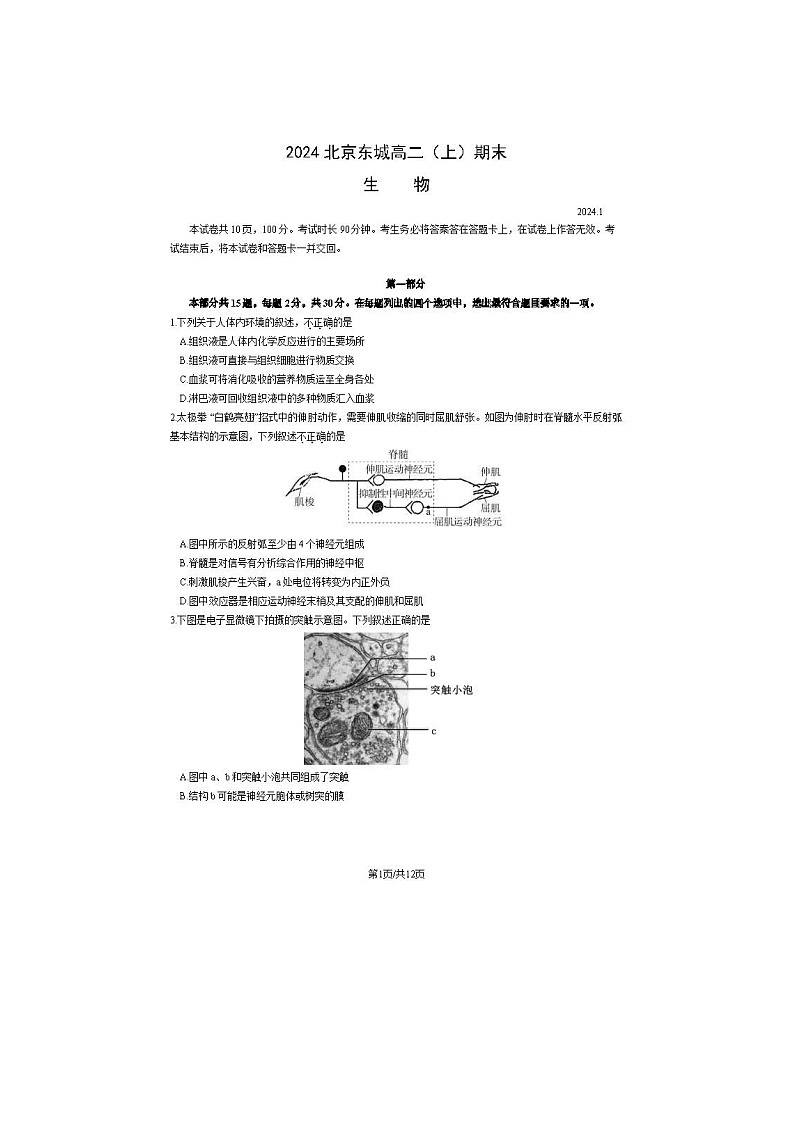 2024届北京东城区高二上学期生物期末试题01