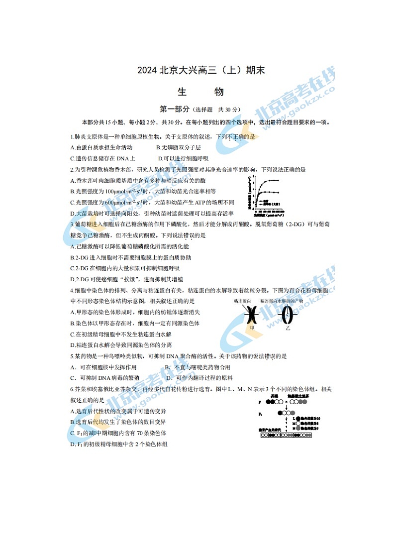 2024届北京大兴区高三上学期生物期末试题01
