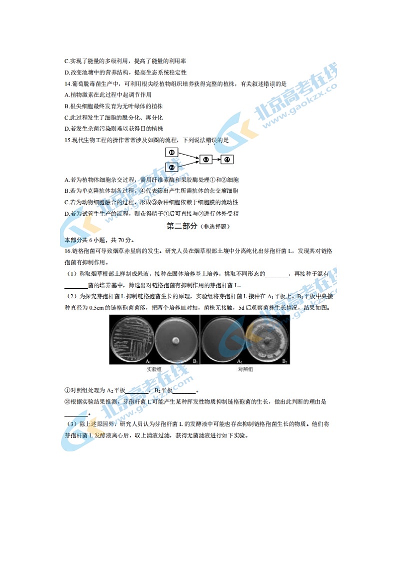 2024届北京大兴区高三上学期生物期末试题03