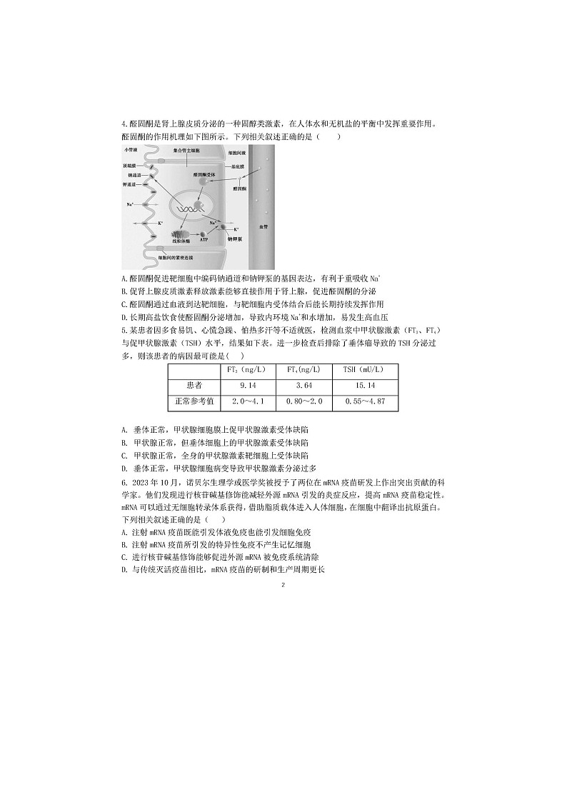 2024届北京朝阳区高二上学期生物期末试题02