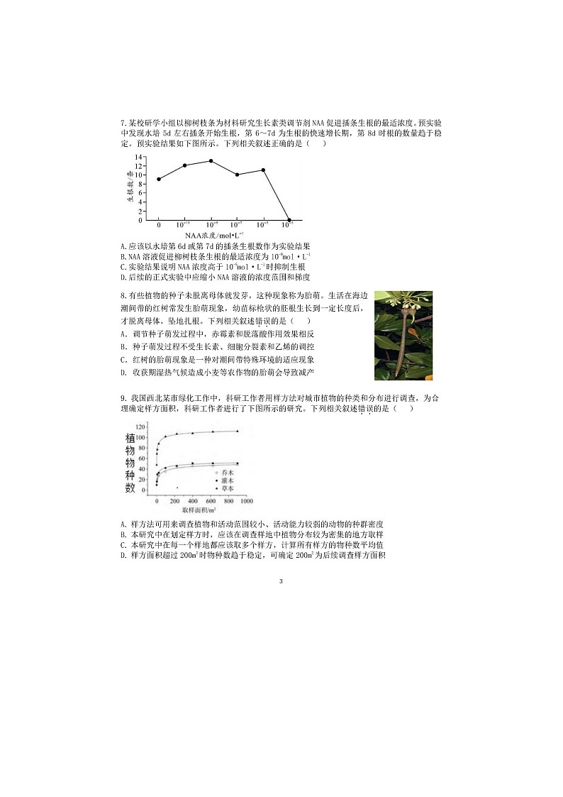 2024届北京朝阳区高二上学期生物期末试题03
