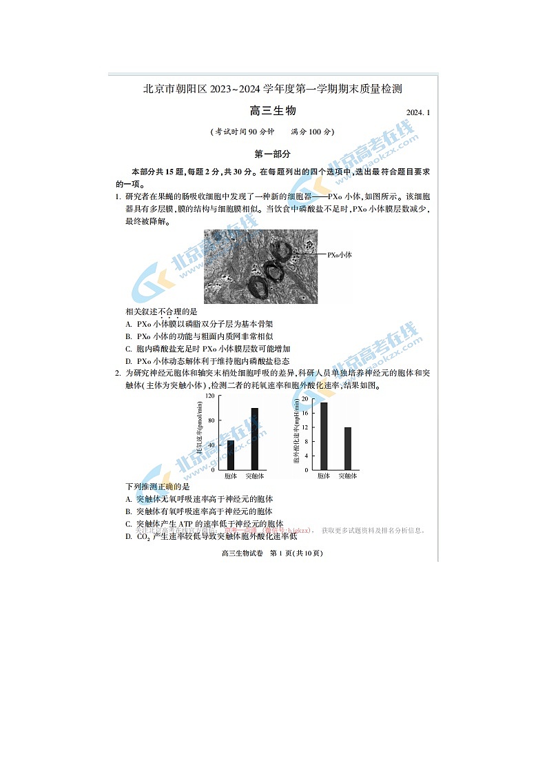 2024届北京朝阳高三上学期生物期末试题第1页