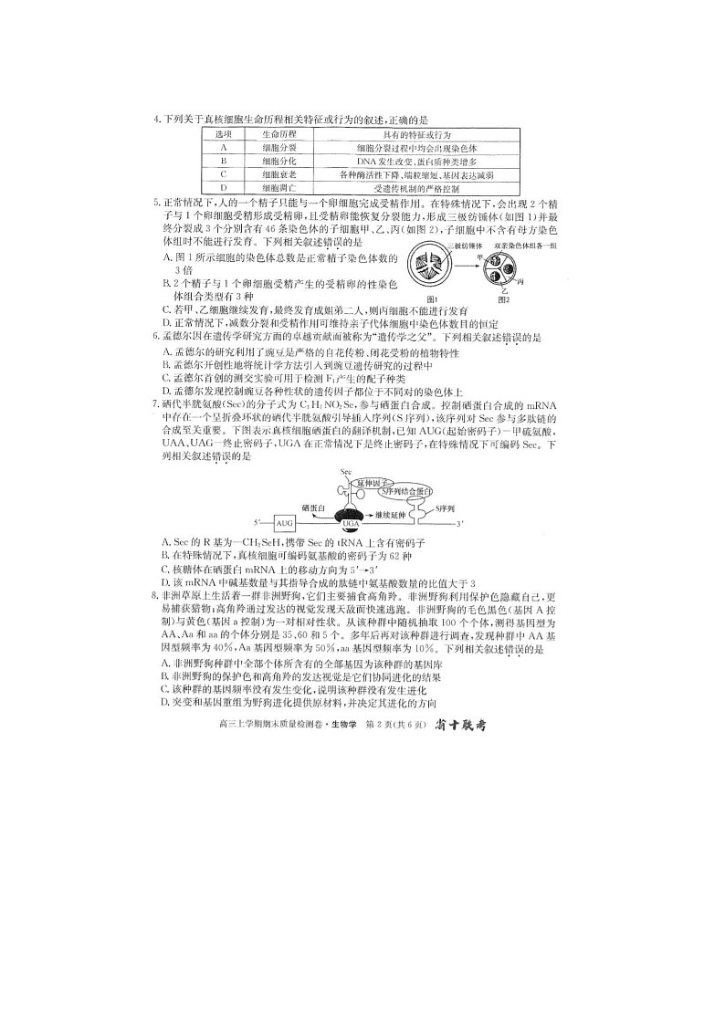 2024届安徽省十联考高三上学期生物期末考试题第2页