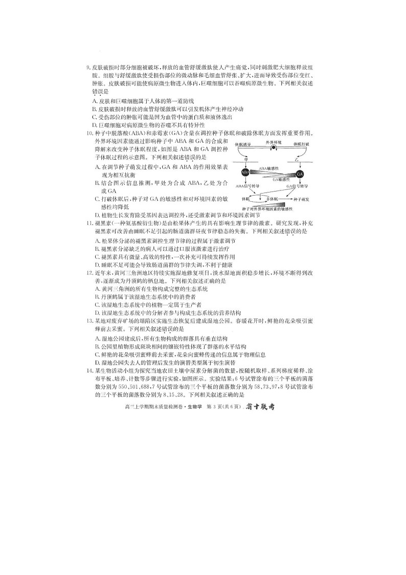 2024届安徽省十联考高三上学期生物期末考试题第3页