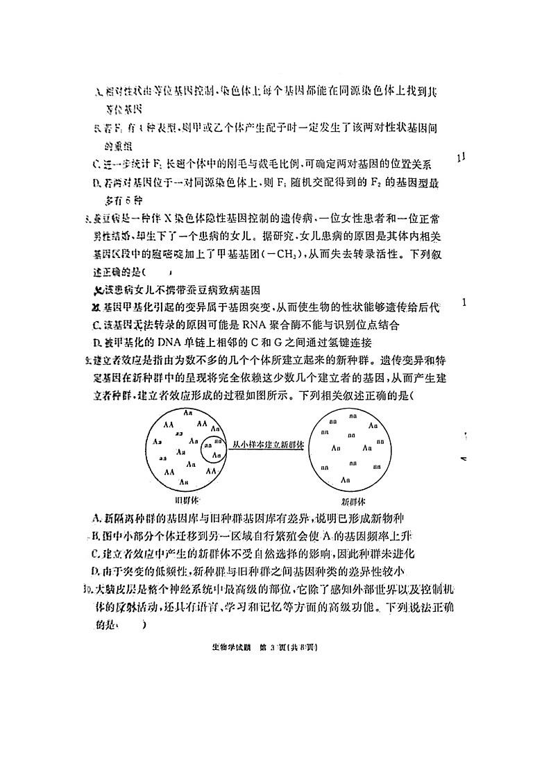 2024届安徽省“耀正优+”高三名校期末上学期生物试题第3页