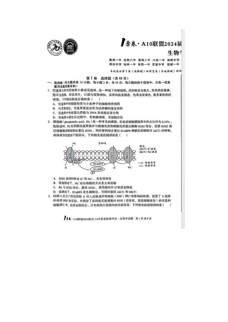 2024届安徽A10联盟高三下学期4月生物试题第1页