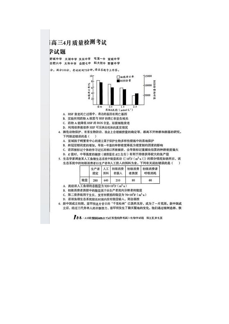 2024届安徽A10联盟高三下学期4月生物试题第2页