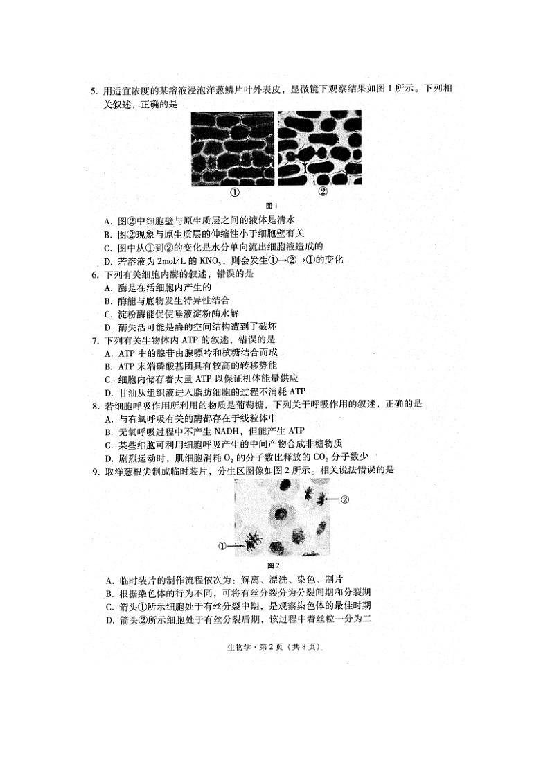 2023届云南省大理白族自治州高二上学期生物期末试题第2页