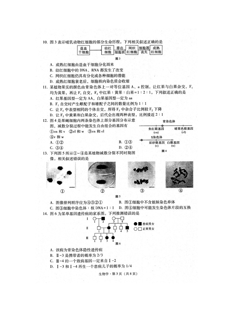 2023届云南省大理白族自治州高二上学期生物期末试题第3页