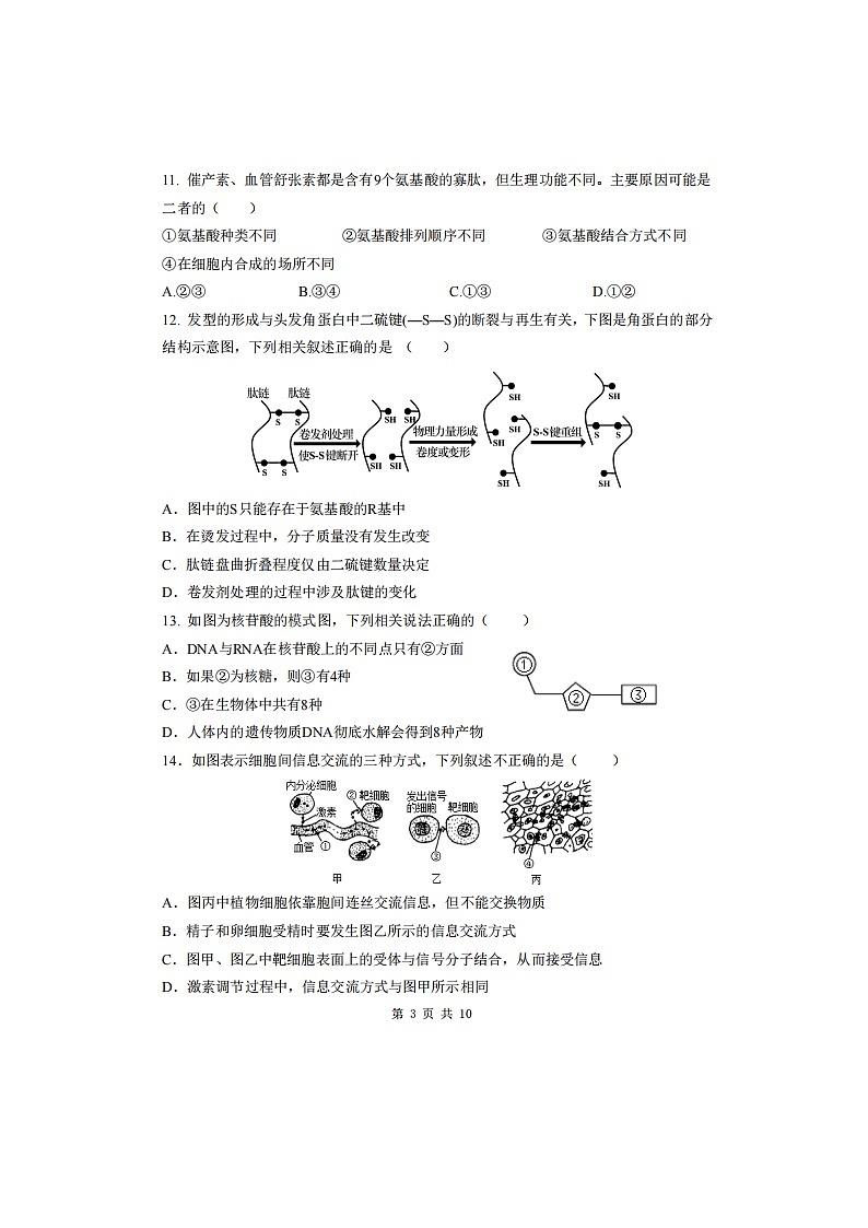2023届天津市南开中学滨海生态城学校高一上学期生物第二次月考试题03