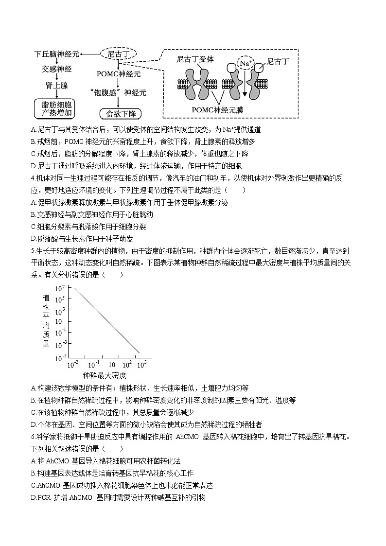 河南省信阳市浉河区信阳高级中学2023-2024学年高三下学期二模考试生物试题（十六）02