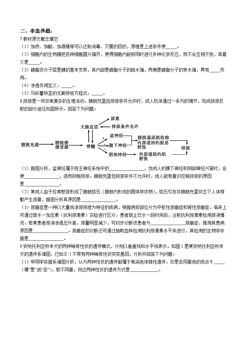 河南省信阳市浉河区信阳高级中学2023-2024学年高三下学期二模考试生物试题（十六）03