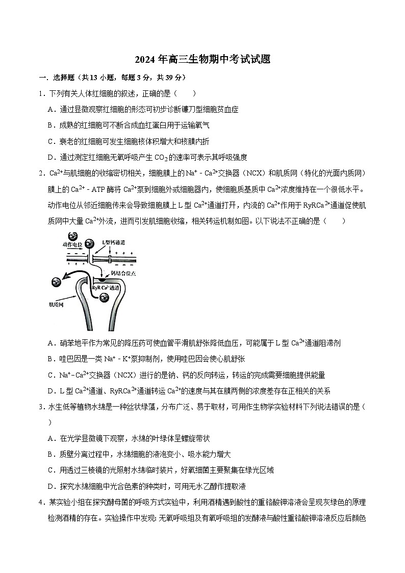 湖南省岳阳市岳阳县第一中学2023-2024学年高三下学期4月期中生物试题第1页