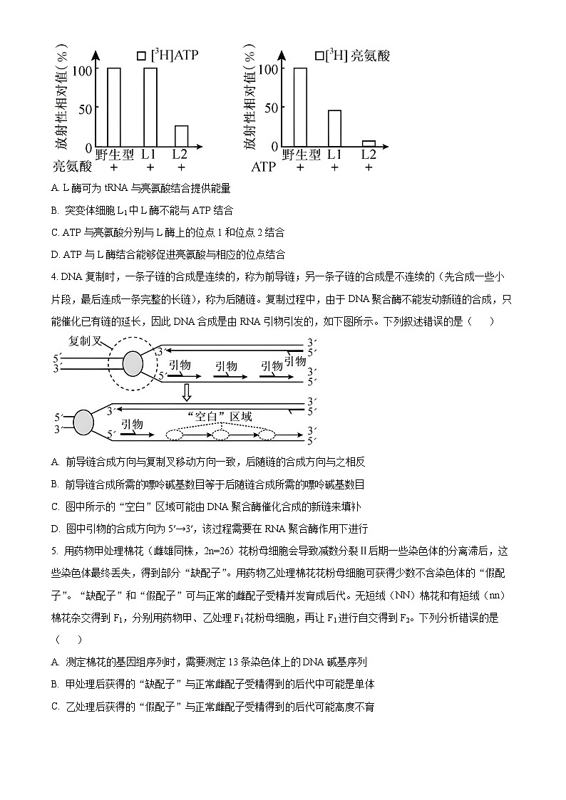 2024届山东省日照市高三下学期4月校际联合考试生物试题（原卷版）第2页