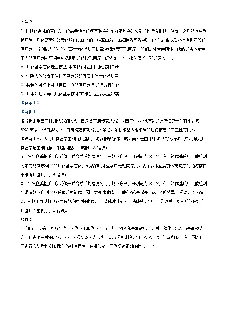 2024届山东省日照市高三下学期4月校际联合考试生物试题（解析版）第2页