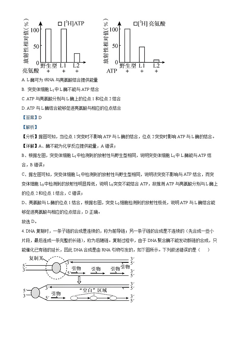 2024届山东省日照市高三下学期4月校际联合考试生物试题（解析版）第3页