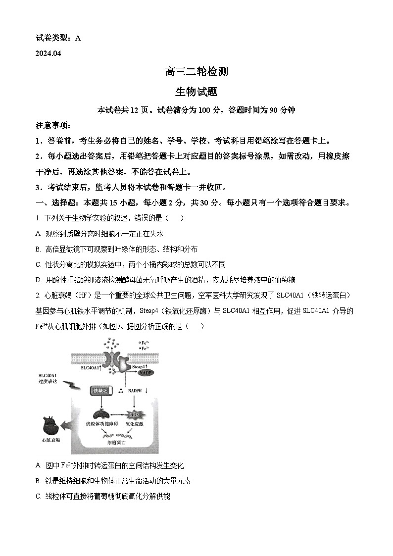 2024届山东省泰安市高三下学期4月二模考试生物试题（原卷版+解析版）01