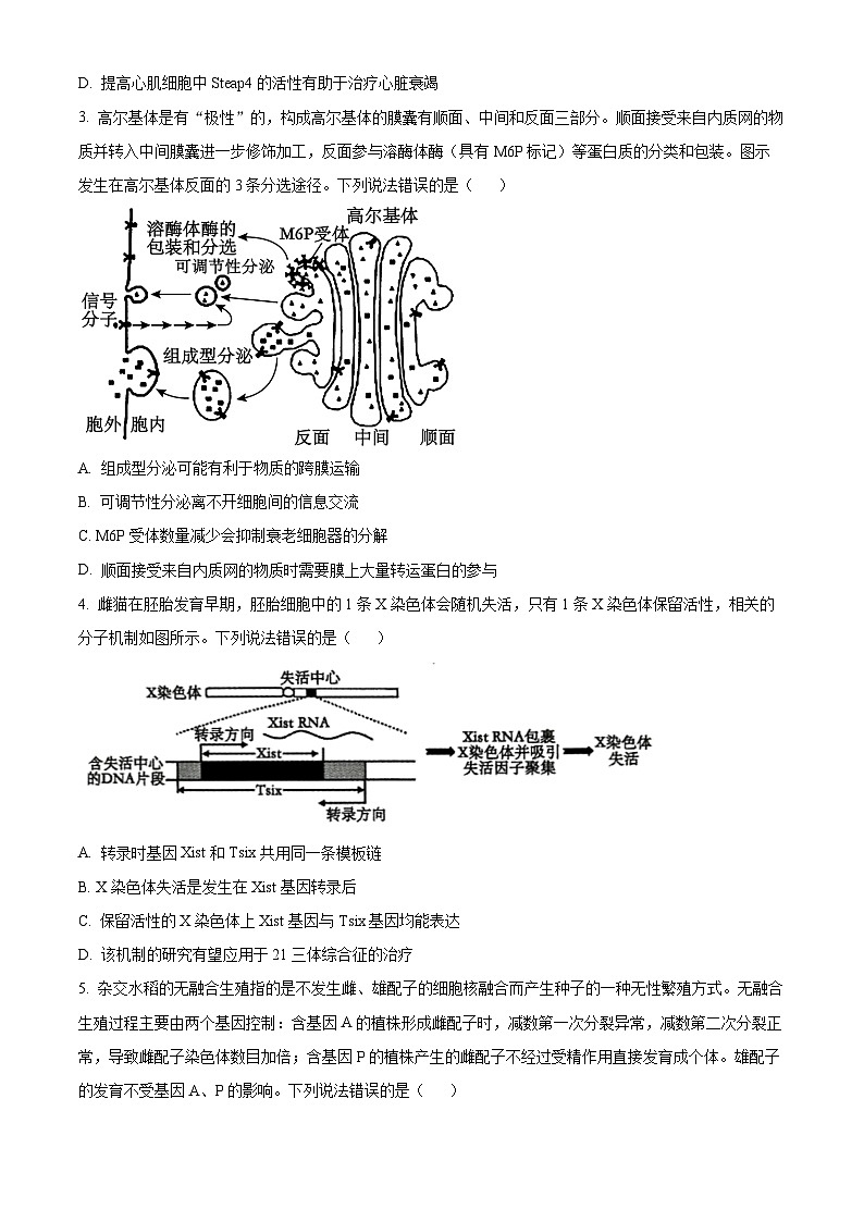 2024届山东省泰安市高三下学期4月二模考试生物试题（原卷版+解析版）02