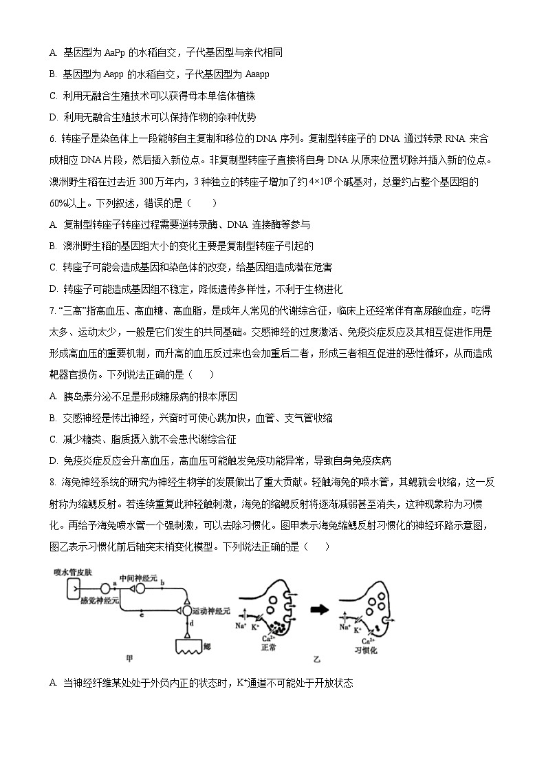2024届山东省泰安市高三下学期4月二模考试生物试题（原卷版+解析版）03