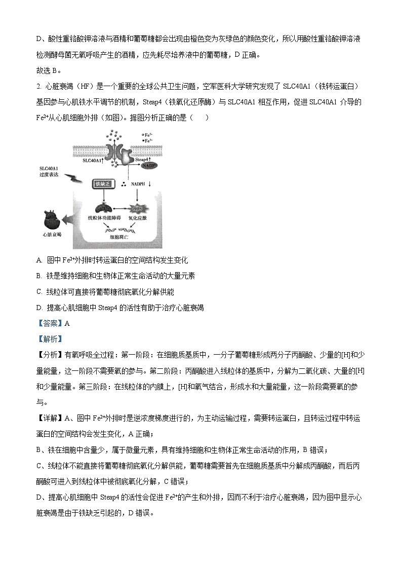 2024届山东省泰安市高三下学期4月二模考试生物试题（原卷版+解析版）02