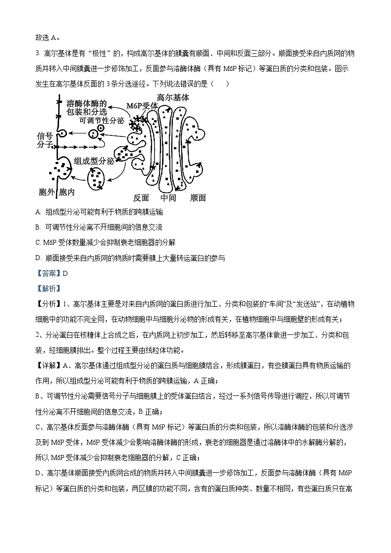 2024届山东省泰安市高三下学期4月二模考试生物试题（原卷版+解析版）03