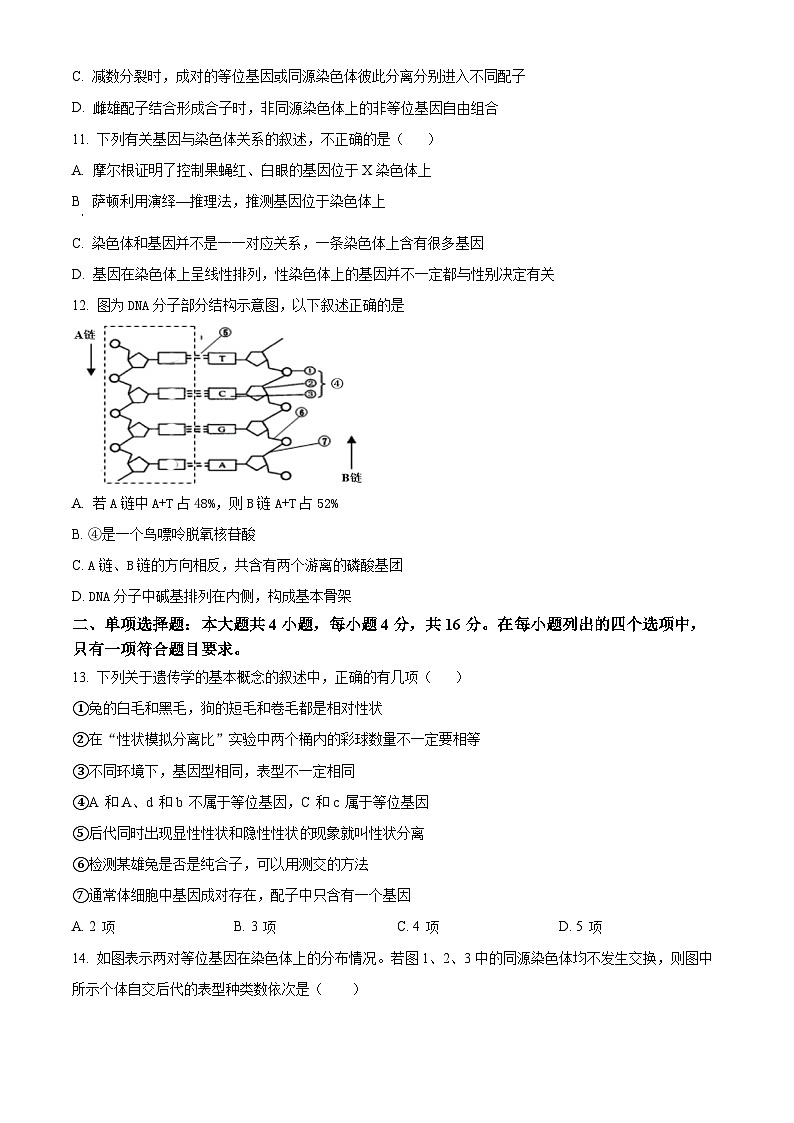 广东省茂名市电白区2023-2024学年高一下学期4月期中生物试题（原卷版）第3页